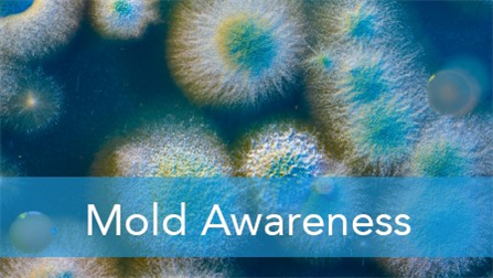 E2L: Mold Awareness